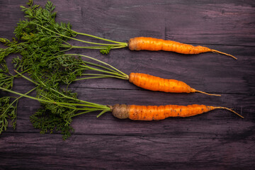 red raw carrots  on a dark wooden background top view