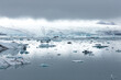 © strannik_fox - Iceland's glacier Jokulsarlon through the breakaway icebergs.