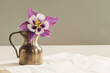 Colorful blossom of a akelei in a metal vase on white table with grey background.