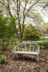 Poster - A bench in the park