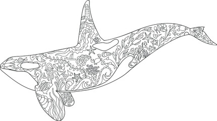 Killer whale coloring page vector illustration, Zentangle animal outline, Sea animal ornament corals and shells