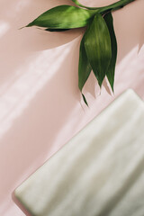 Canvas Print - Top view shot of a pink surface, a laptop on it, and green plant leaves