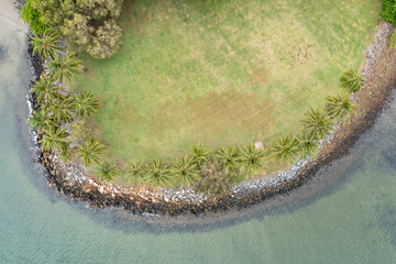 Wall Mural - Overhead view of the palm trees and coastline at Rex Smeal Park in Port Douglas, Queensland, Australia