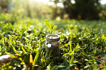 Wall Mural - Save Money stored in glass bottles placed on green grass