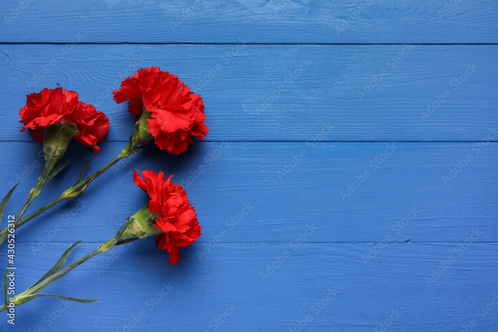 Fresh carnation flowers on color wooden background