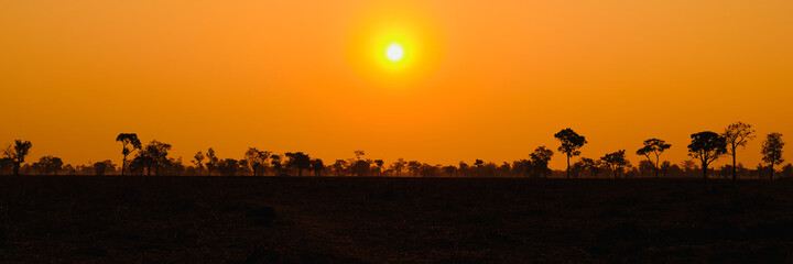 Wall Mural - sunset, sunrise sky morning bright, beautiful summer