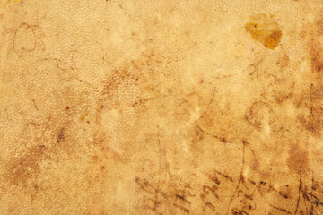 Wall Mural - Old parchment leather with ancient handwriting texture background