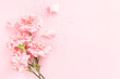 Pink carnations on pink background with confetti.