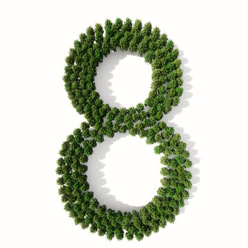 Concept or conceptual group of green forest tree isolated on white background, the font 8. 3d illustration metaphor for nature, conservation, global warming, environment, ecology, climate,