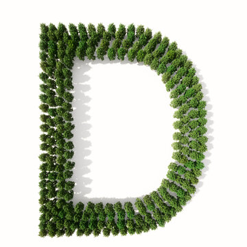 Concept or conceptual group of green forest tree isolated on white background, the font D. 3d illustration metaphor for nature, conservation, global warming, environment, ecology, climate