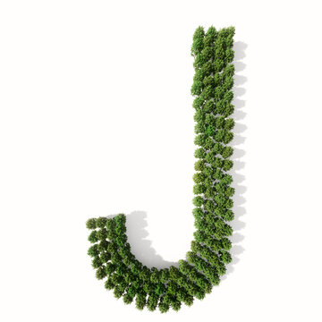 Concept or conceptual group of green forest tree isolated on white background, the font J. 3d illustration metaphor for nature, conservation, global warming, environment, ecology, climate