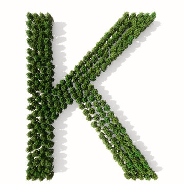 Concept or conceptual group of green forest tree isolated on white background, the font K. 3d illustration metaphor for nature, conservation, global warming, environment, ecology, climate