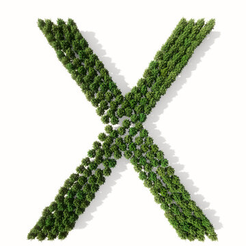 Concept or conceptual group of green forest tree isolated on white background, the font X. 3d illustration metaphor for nature, conservation, global warming, environment, ecology, climate