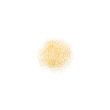 Gold shape, gold dust, gold smear, gold foil, gold texture. Vector isolated.