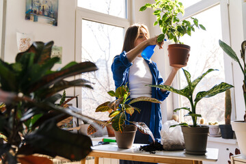 Young woman florist taking care of pot plants