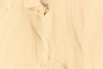 Wall Mural - Sand texture background on the beach. Light beige sea sand texture pattern.