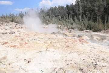 Yellowstone National Park in Wyoming, USA