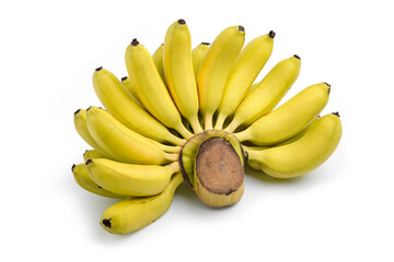 Bunch of bananas isolated on white background. Summer tropical fruits.