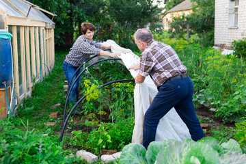 mature couple sets a greenhouse at a garden plot