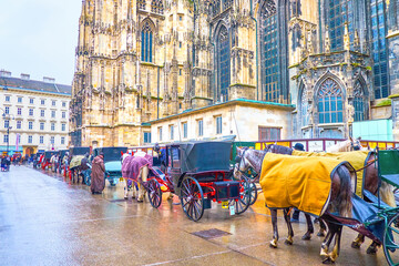 Wall Mural - The line of tourist carriages in old Vienna, Austria