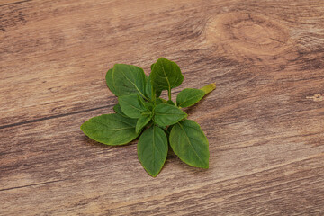 Aroma seasoning - Green Basil leaves