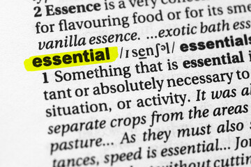 Highlighted word essential concept and meaning