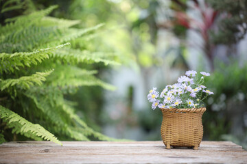 Wall Mural - Purple Aster flowers in basket pot on brown wooden table