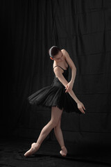 Wall Mural - Young beautiful skinny ballerina is posing in studio