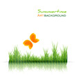 Green grass border and orange butterfly on white background. Spring or summer landscape natural banner. Flat vector eco illustration in minimalist design