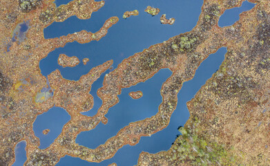 Canvas Print - Amazing aerail wetland pattern