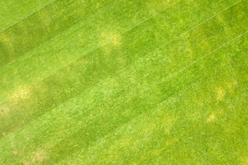 Wall Mural - Close up aerial view of surface of green freshly cut grass on football stadium in summer.