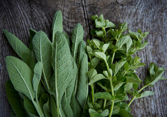 Wall Mural - fresh herbs on wooden surface