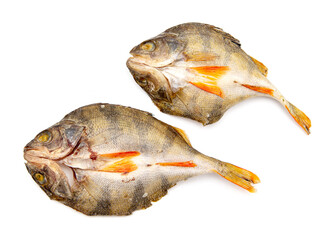 Dried fish isolated on a white