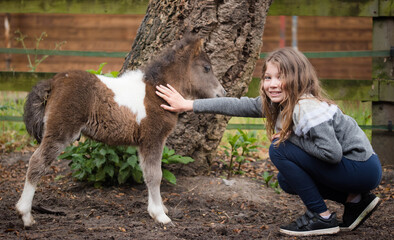 first meeting between a very young foal and a girl