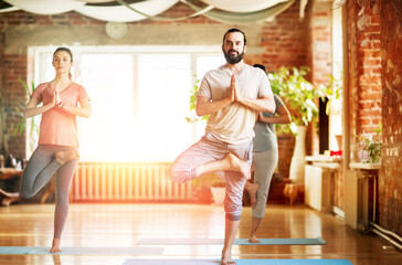 Canvas Print - fitness, meditation and healthy lifestyle concept - group of people doing yoga in tree pose at studio