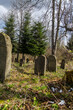 Baligród cmentarz żydowski 