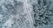 Car in a snowy winter forest 2
