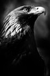 Eagle golden eagle black and white symbol militarism dark background