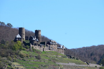 Wall Mural - Burg Thurant