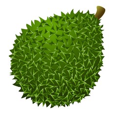 Sticker - Organic durian icon, cartoon style