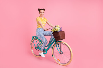 Wall Mural - Full length profile photo of adorable girl sit on bicycle flowers in basket isolated on pink color background