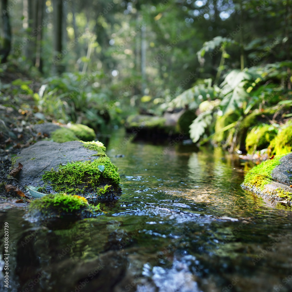 What Do You Know About Rivers and Streams?