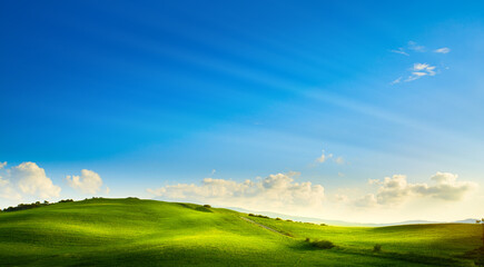 Wall Mural - art rural landscape. field and grass