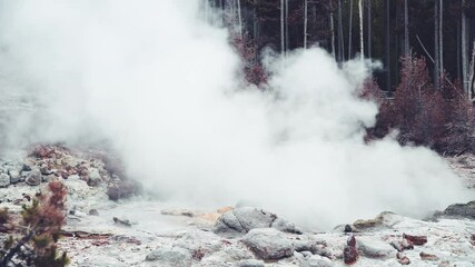 Sticker - Mammoth Hot Springs in Yellowstone National Park, USA