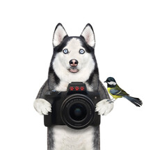 A Dog Husky Photographer Holds A Black Photo Camera. White Background. Isolated.