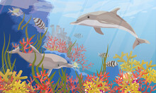 A Pair Of Common Bottlenose Dolphin Tursiops Truncatus Swims Near A Coral Reef. Sea Bottom With Corals, Algae And Tropical Fish. Realistic Vector Underwater Landscape