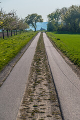 Poster - Gteerter Feldweg