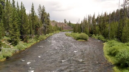 Canvas Print - Yellowstone river in the middle of the forest on a cloudy day