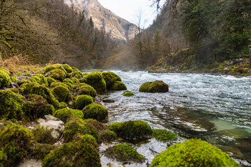 Wall Mural - Mountain river Yupshara. A cold mountain river with a rapid current in the gorge. Green moss stones on the shores. Caucasus. Abkhazia.