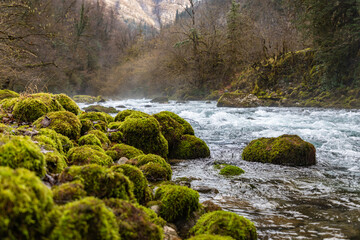 Wall Mural - Mountain river Yupshara. A cold mountain river with a rapid current in the gorge. Green moss stones on the shores. Caucasus. Abkhazia.